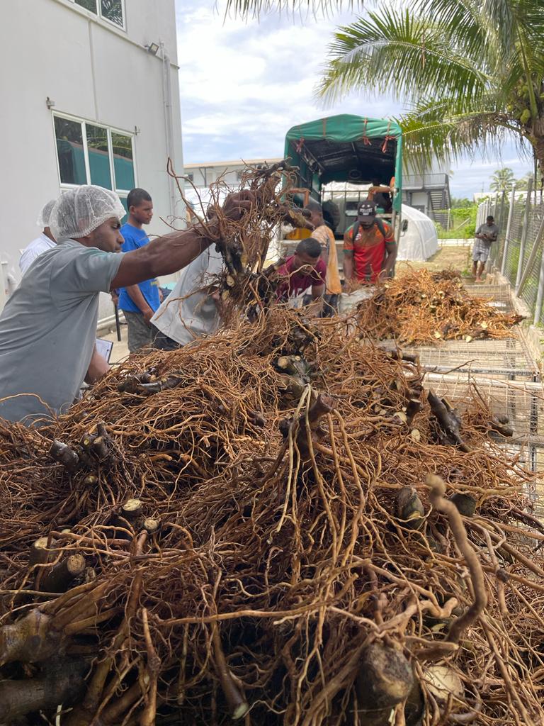 Kava Traceability System
